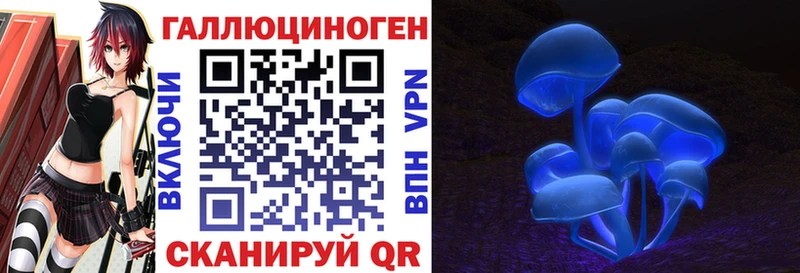цены   Усть-Джегута  Псилоцибиновые грибы MAGIC MUSHROOMS 